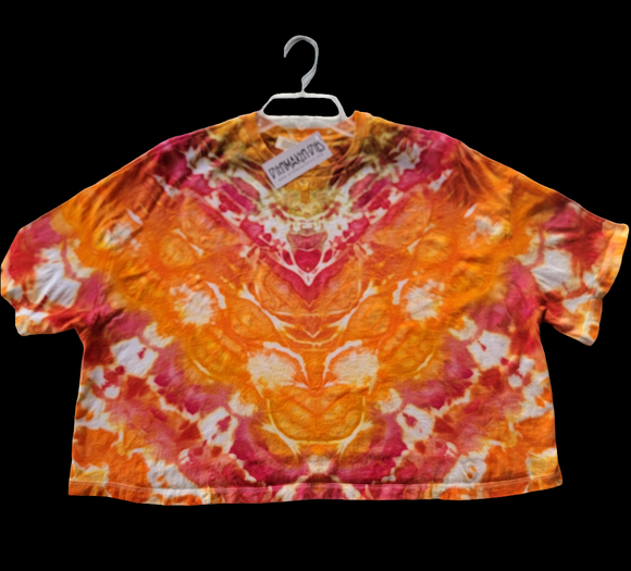 Large Ladies Short Sleeve Crop Top